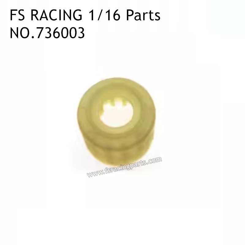 FS RACING 1/16 Scale RC Car Parts Differential Housing 736003, FS RACING Parts