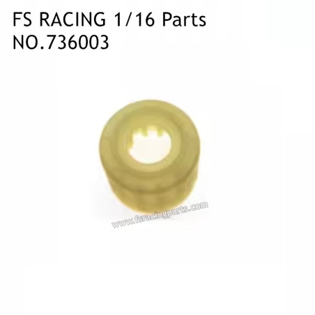 FS RACING 1/16 Scale RC Car Parts Differential Housing 736003, FS RACING Parts