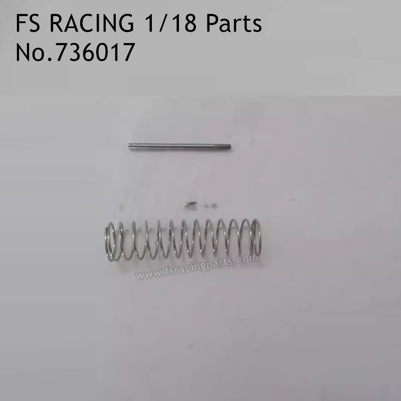 FS RACING 1/18 Scale Drift Car High Speed Racing Car Parts Shock Core and Spring 736017-1