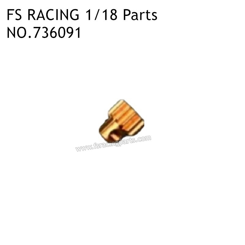 FS RACING 1/18 Scale Drift Car Parts 10T Motor Gear 736091