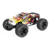 FS RACING 53810 1/10 Scale Brushed High Speed Off-Road Car