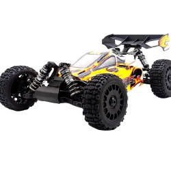 FS RACING 33651P 1/8 Scale Brushless Off-Road Vehicle 4WD RC Car
