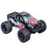 FS RACING 53815-FD 1/10 Scale High Speed Remote Control Car