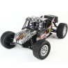 FS RACING 53910 1/10 Scale 2.4G 4WD Brushed High Speed Car