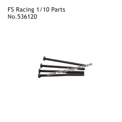 FS RACING 1/10 Scale RC Car Parts Lower Arm Fixing Pin 539120