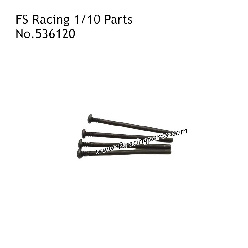 FS RACING 1/10 Scale RC Car Parts Lower Arm Fixing Pin 539120