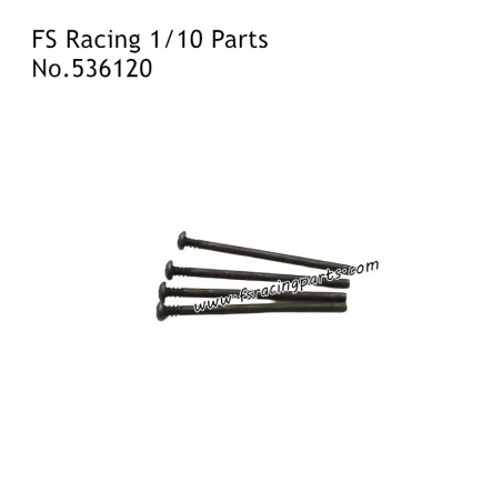 FS RACING 1/10 Scale RC Car Parts Lower Arm Fixing Pin 539120
