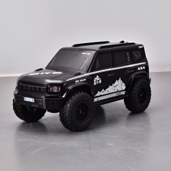 FS Racing 83501 High Speed RC Car Black