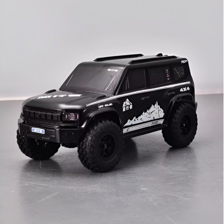 FS Racing 83501 High Speed RC Car Black