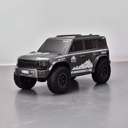 FS Racing 83501 High Speed RC Car Gray