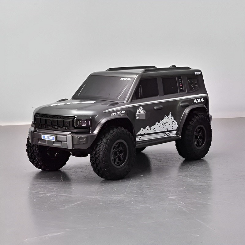 FS Racing 83501 High Speed RC Car Gray