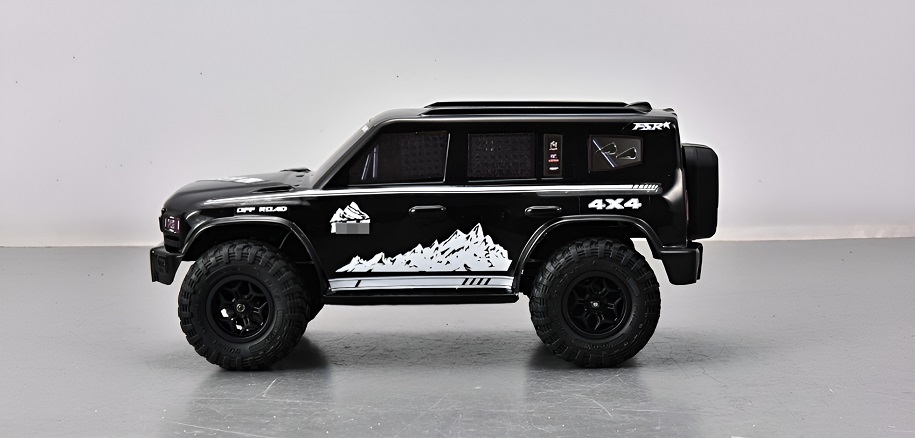 FS Racing 83501 High Speed RC Car Black Overview