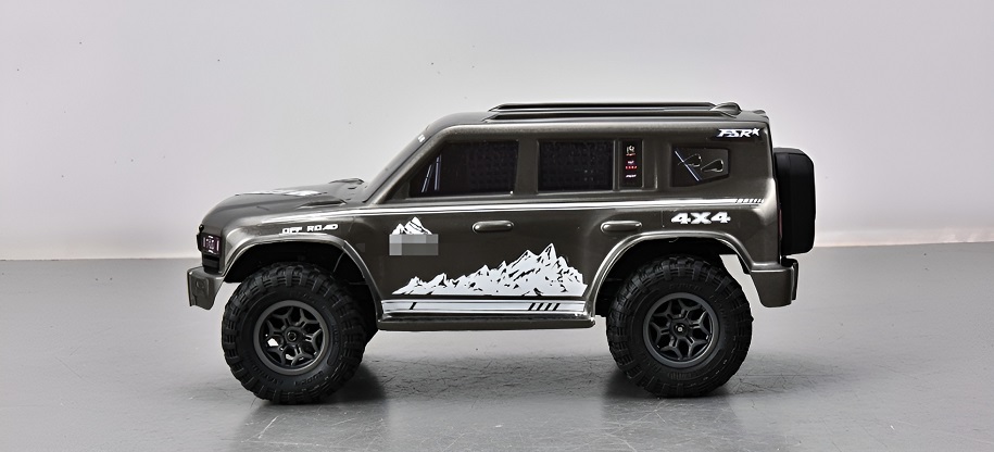 FS Racing 83501 High Speed RC Car Gray Overview