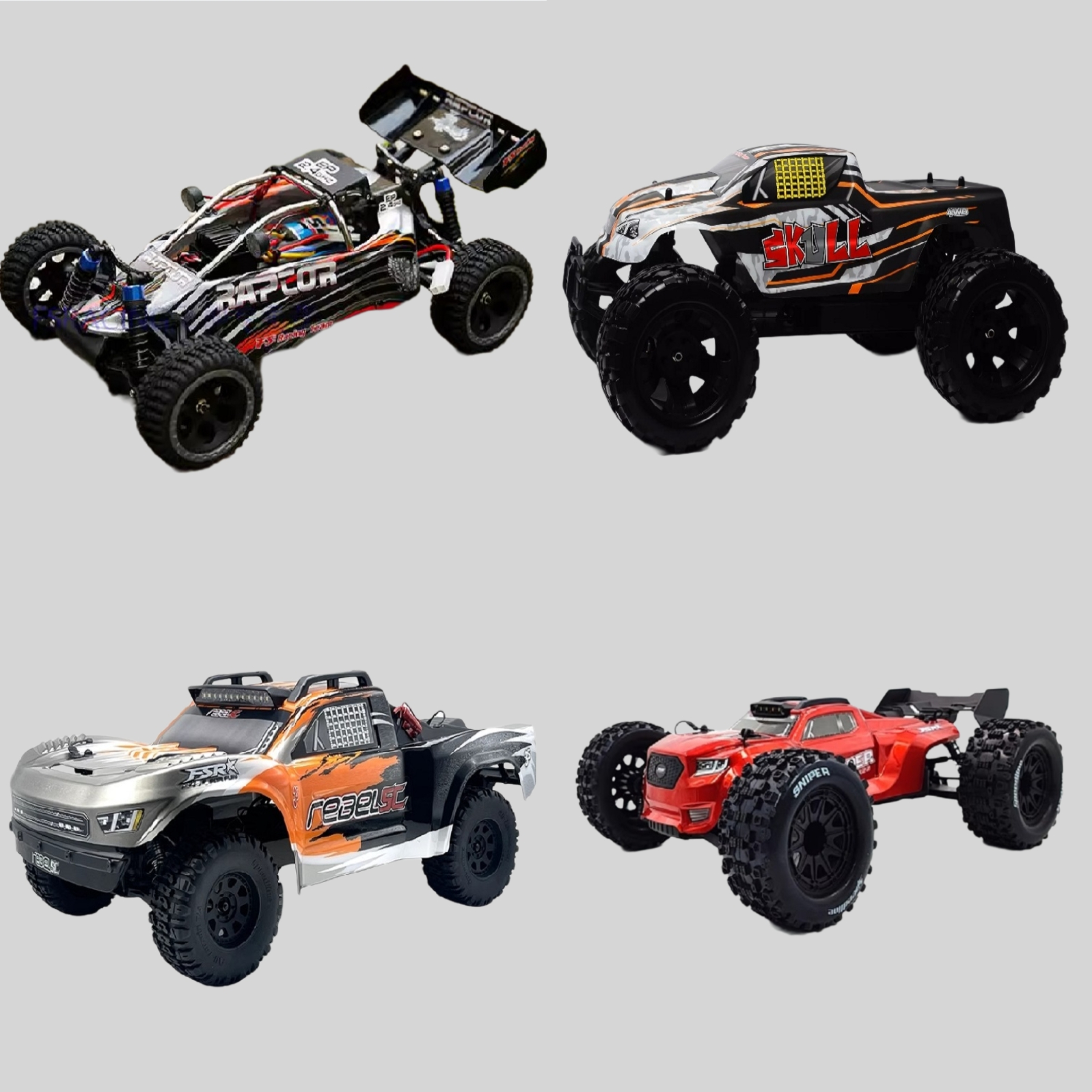 FS RACING 1/10 Remote Control Car